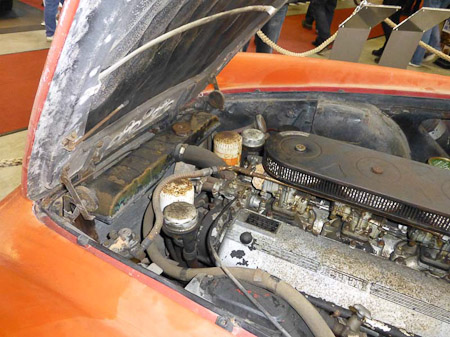 DMC-TZ31- 1/60 Sek. bei f / 3,3- 236