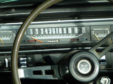 DMC-TZ31- 1/250 Sek. bei f / 5,6- 236