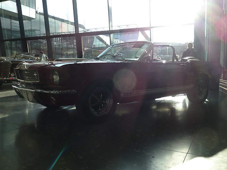 DMC-TZ31- 1/250 Sek. bei f / 3,6- 236