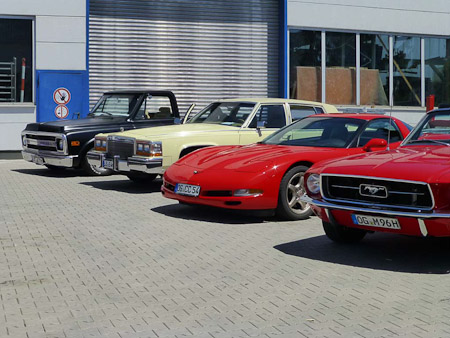 DMC-TZ31- 1/1600 Sek. bei f / 4,7- 85