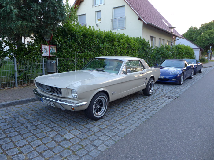 DMC-LX7- 1/250 Sek. bei f / 2,2- 45