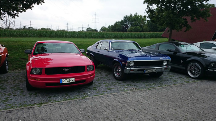 C6903- 1/125 Sek. bei f / 2,0- 22