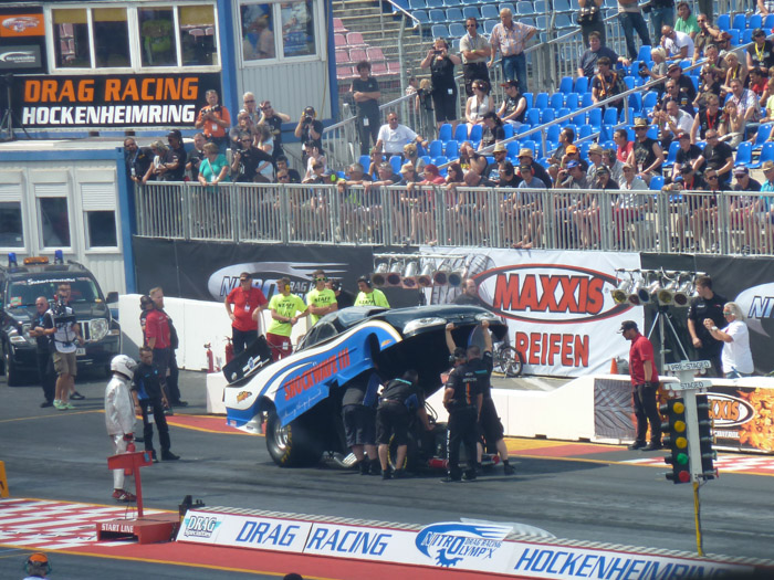 DMC-TZ10- 1/250 Sek. bei f / 4,9- 223