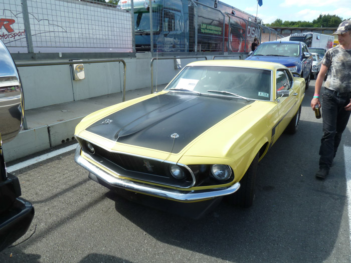 DMC-TZ10- 1/250 Sek. bei f / 4,0- 223