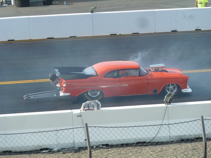 DMC-TZ10- 1/500 Sek. bei f / 4,5- 223