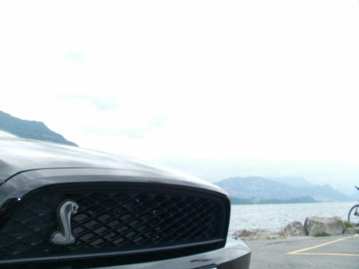 FE47,X43- 1/100 Sek. bei f / 5,6- 202