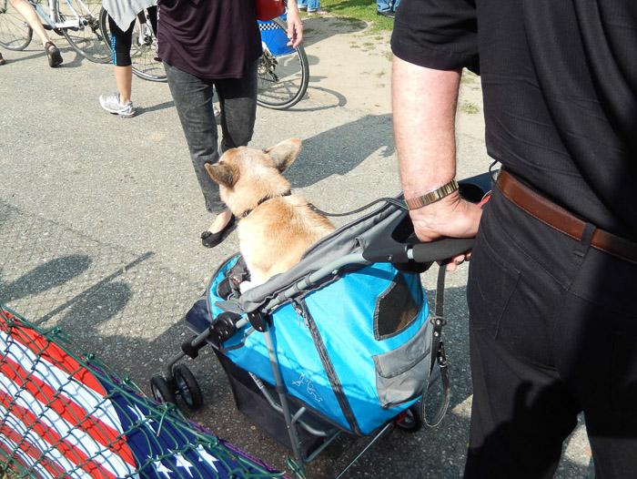 COOLPIX S9500- 1/640 Sek. bei f / 3,8- 198