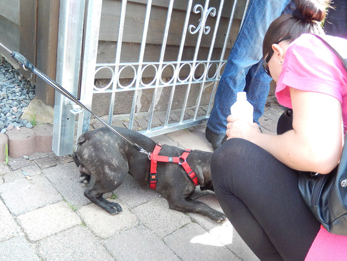 COOLPIX S9500- 1/40 Sek. bei f / 3,8- 198