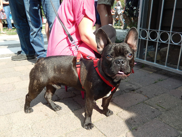 COOLPIX S9500- 1/400 Sek. bei f / 3,8- 198