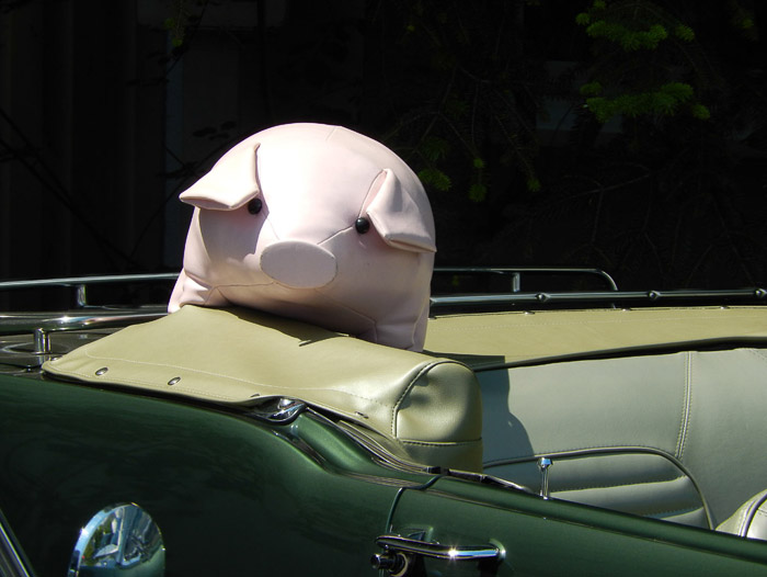 COOLPIX S9500- 1/500 Sek. bei f / 5,9- 66