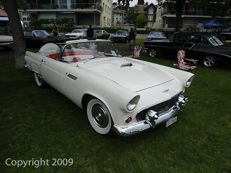 DSC-W510- 1/200 Sek. bei f / 8,0- 431