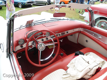 DSC-W510- 1/200 Sek. bei f / 2,8- 431