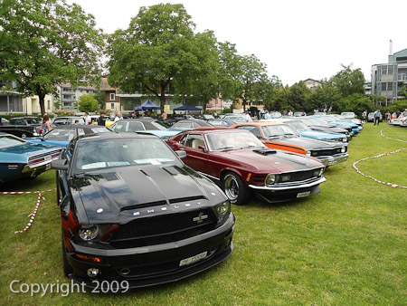 DSC-W510- 1/500 Sek. bei f / 2,8- 431