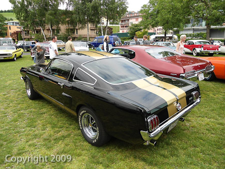 DSC-W510- 1/400 Sek. bei f / 2,8- 431