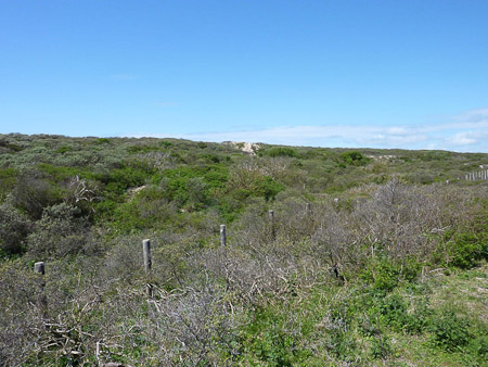 DMC-TZ7- 1/400 Sek. bei f / 4,5- 499