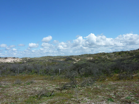 DMC-TZ7- 1/500 Sek. bei f / 5,6- 499