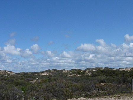 DMC-TZ7- 1/640 Sek. bei f / 5,6- 499