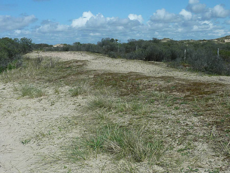 DMC-TZ7- 1/640 Sek. bei f / 5,6- 499