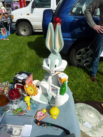 DMC-TZ7- 1/500 Sek. bei f / 5,6- 499