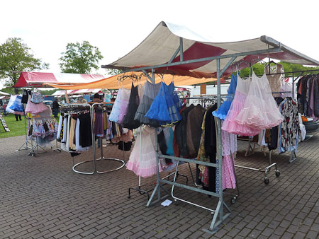 DMC-TZ7- 1/200 Sek. bei f / 4,0- 499