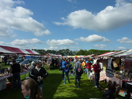 DMC-TZ7- 1/500 Sek. bei f / 5,6- 499