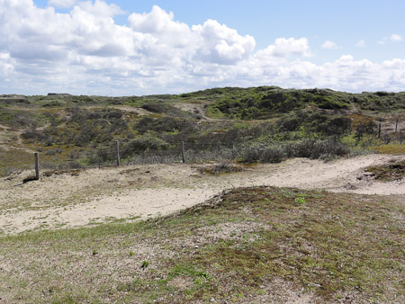 DSC-HX5V- 1/250 Sek. bei f / 9,0- 499