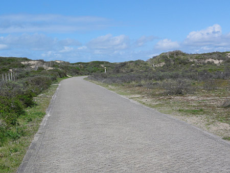 DSC-HX5V- 1/250 Sek. bei f / 10- 499