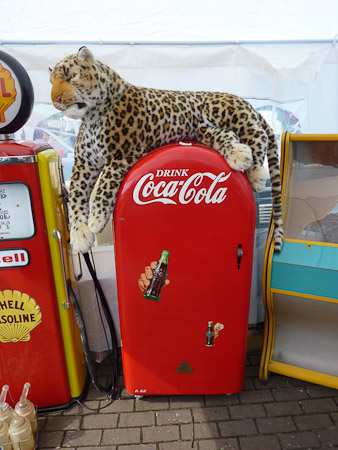 DMC-TZ7- 1/200 Sek. bei f / 4,0- 499