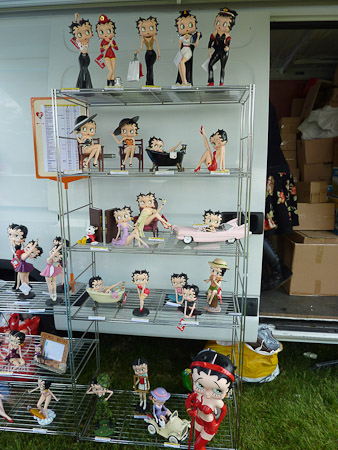 DMC-TZ7- 1/100 Sek. bei f / 3,3- 499