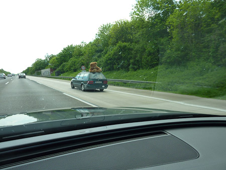 DMC-TZ7- 1/250 Sek. bei f / 4,0- 499