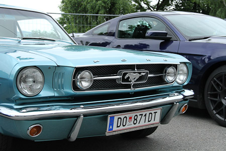 Canon EOS 7D- 1/200 Sek. bei f / 8,0- 338