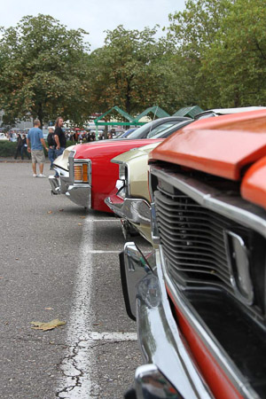 Canon EOS 7D- 1/320 Sek. bei f / 9,0- 163