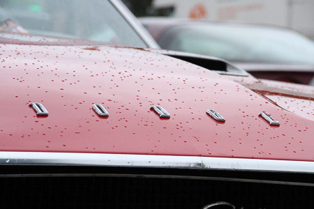 Canon EOS 7D- 1/500 Sek. bei f / 9,0- 163