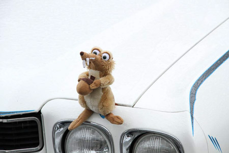 Canon EOS 7D- 1/400 Sek. bei f / 9,0- 163