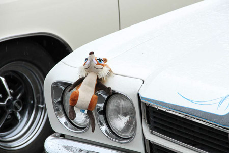 Canon EOS 7D- 1/400 Sek. bei f / 9,0- 163