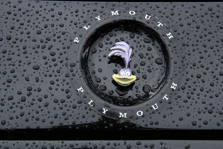 Canon EOS 7D- 1/400 Sek. bei f / 9,0- 163