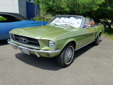 DMC-TZ31- 1/640 Sek. bei f / 5,0- 85