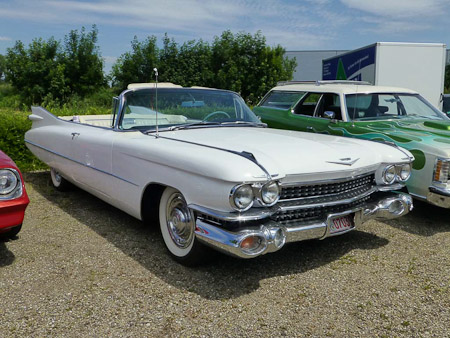 DMC-TZ31- 1/1000 Sek. bei f / 6,3- 85