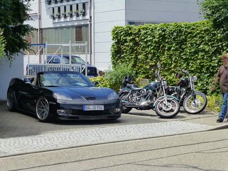 DMC-TZ31- 1/500 Sek. bei f / 5,3- 85