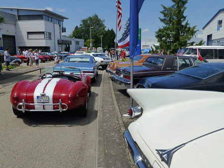 DMC-TZ31- 1/800 Sek. bei f / 6,3- 85