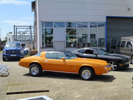 DMC-TZ31- 1/800 Sek. bei f / 3,9- 85