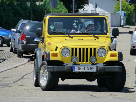 DMC-TZ31- 1/500 Sek. bei f / 6,2- 85