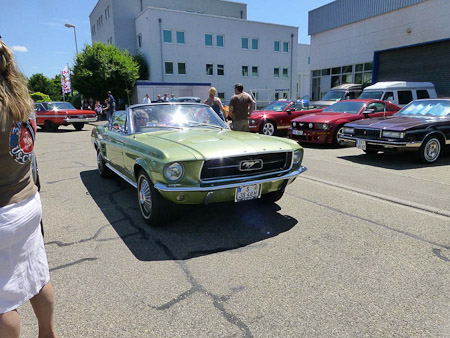 DMC-TZ31- 1/640 Sek. bei f / 5,0- 85