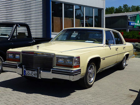 DMC-TZ31- 1/1250 Sek. bei f / 4,2- 85