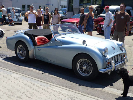 DMC-TZ31- 1/640 Sek. bei f / 4,2- 85