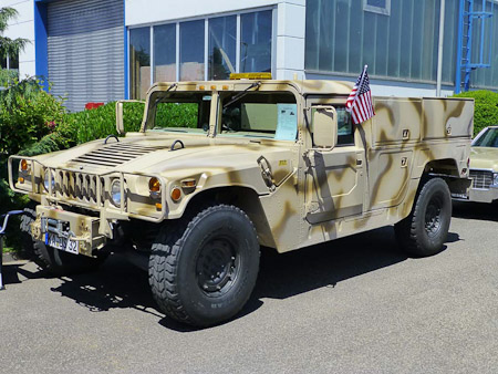 DMC-TZ31- 1/1000 Sek. bei f / 3,9- 85