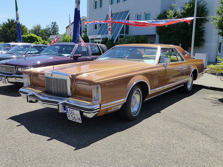 DMC-TZ31- 1/800 Sek. bei f / 4,0- 85