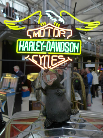 DMC-LX7- 1/125 Sek. bei f / 1,4- 238