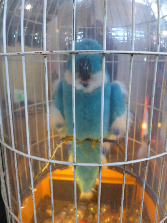 DMC-LX7- 1/60 Sek. bei f / 1,4- 238